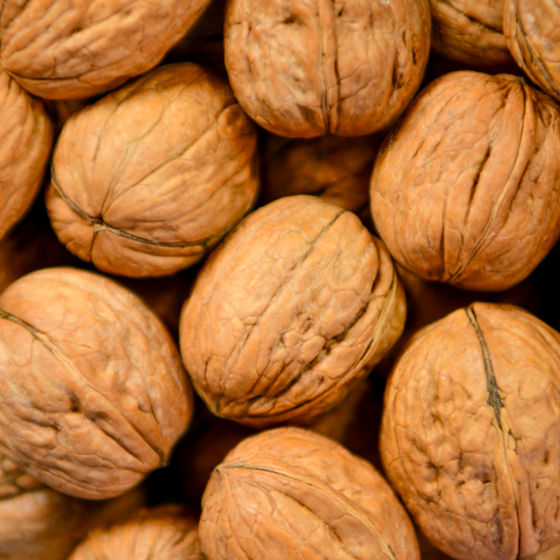 Nuez con cascara 500 g