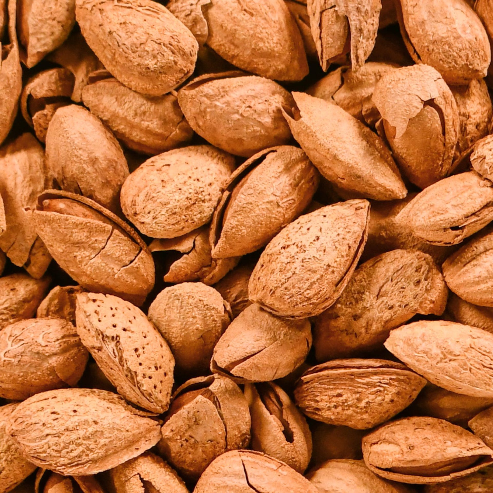 Almendra con cĂĄscra tostada 500g