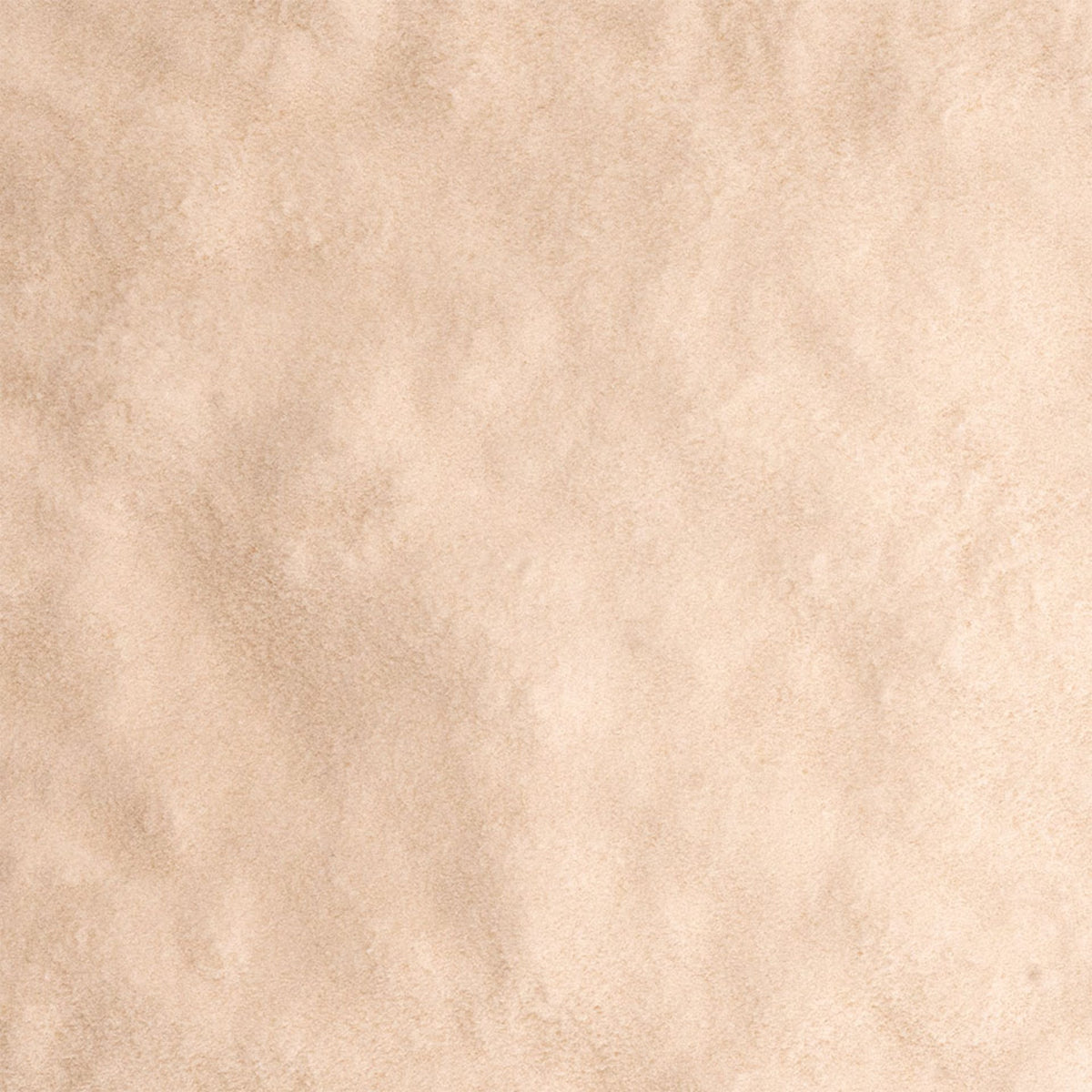 Goma xantana 1kg