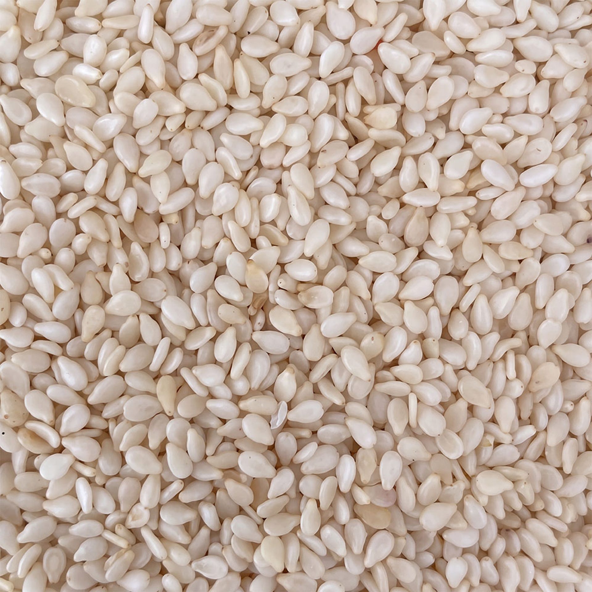 Semillas de sésamo blanco 1kg