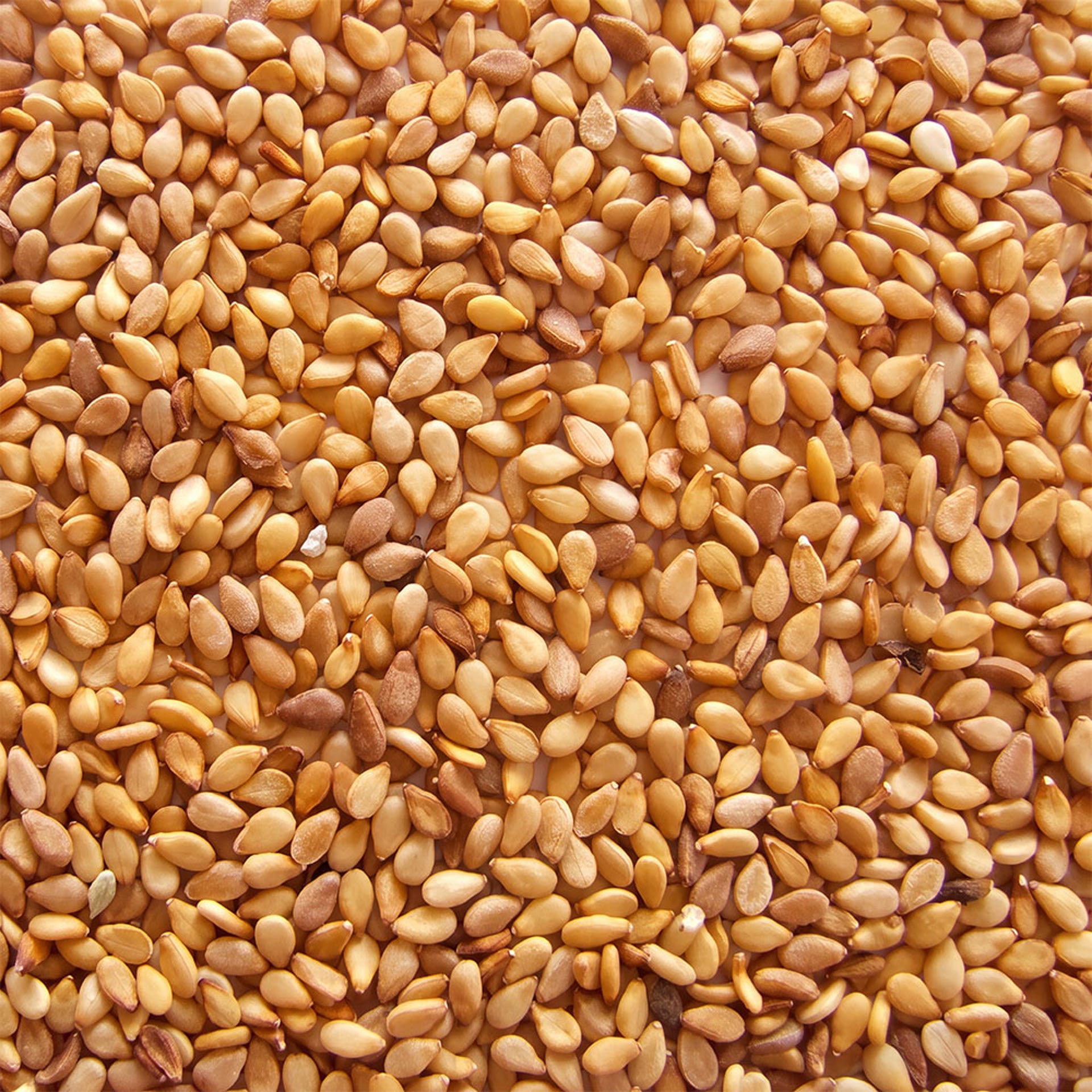 Semillas de sésamo blanco tostado 1kg