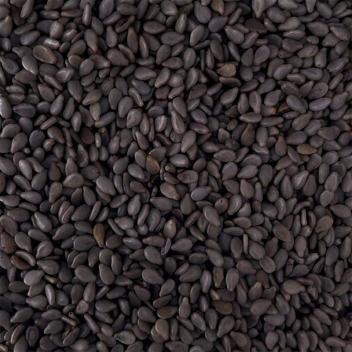 Semillas de sésamo negro 1kg