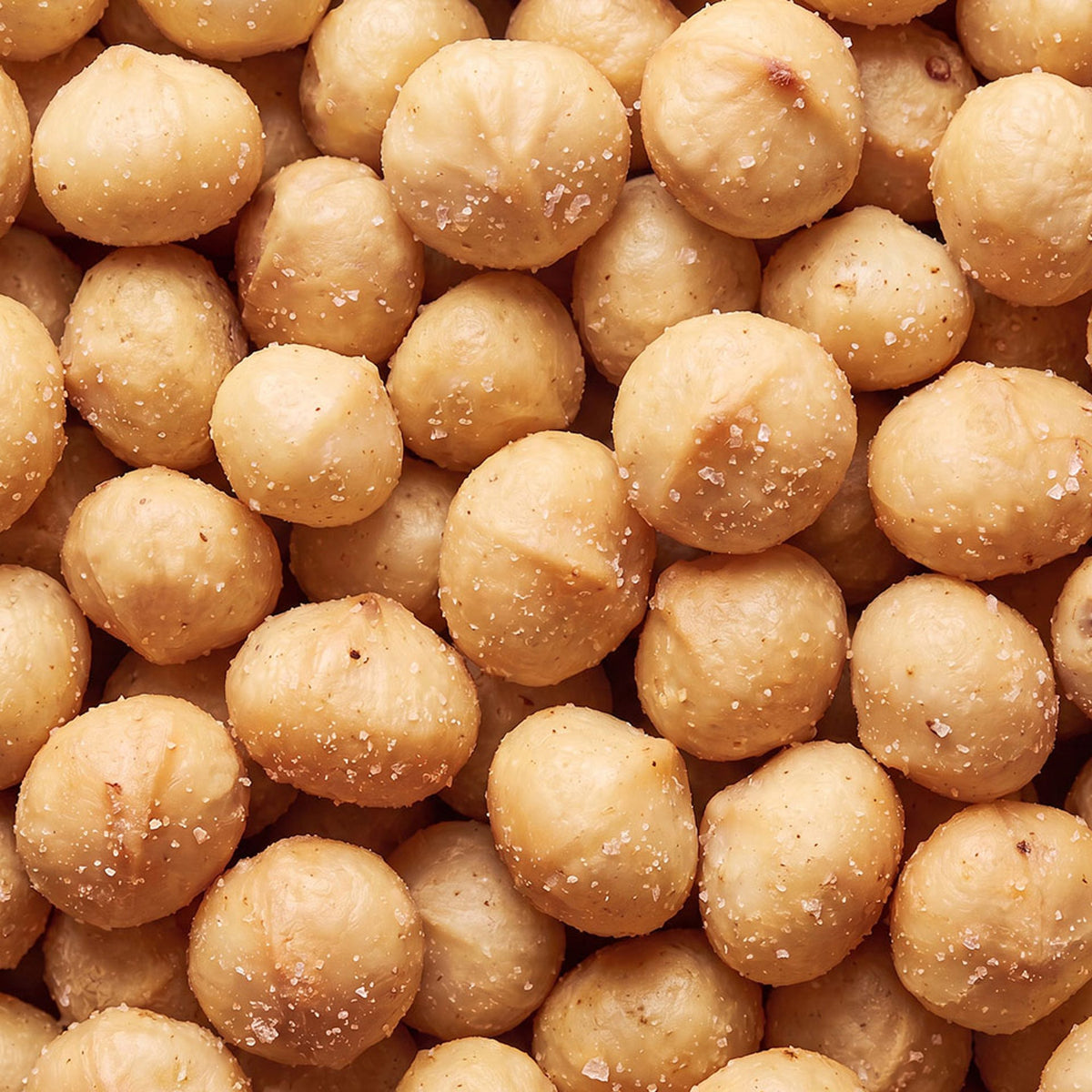 Nuez de macadamia tostada y salada 1kg