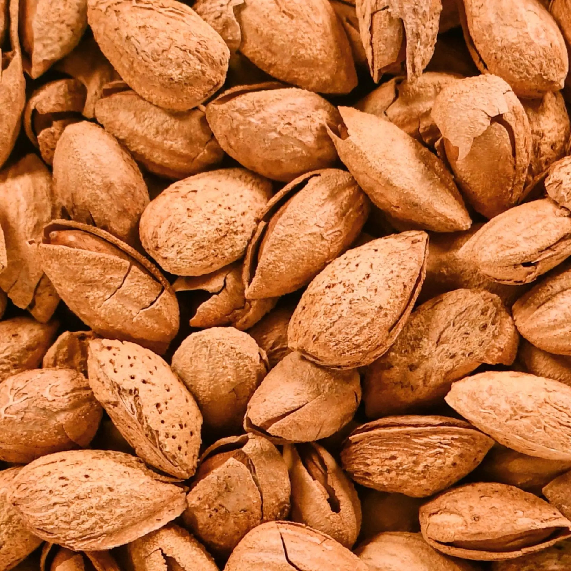 geröstete mandeln aufbewahren Geröstete Mandeln mit Schale 500g 💜 nut&me – nutandme