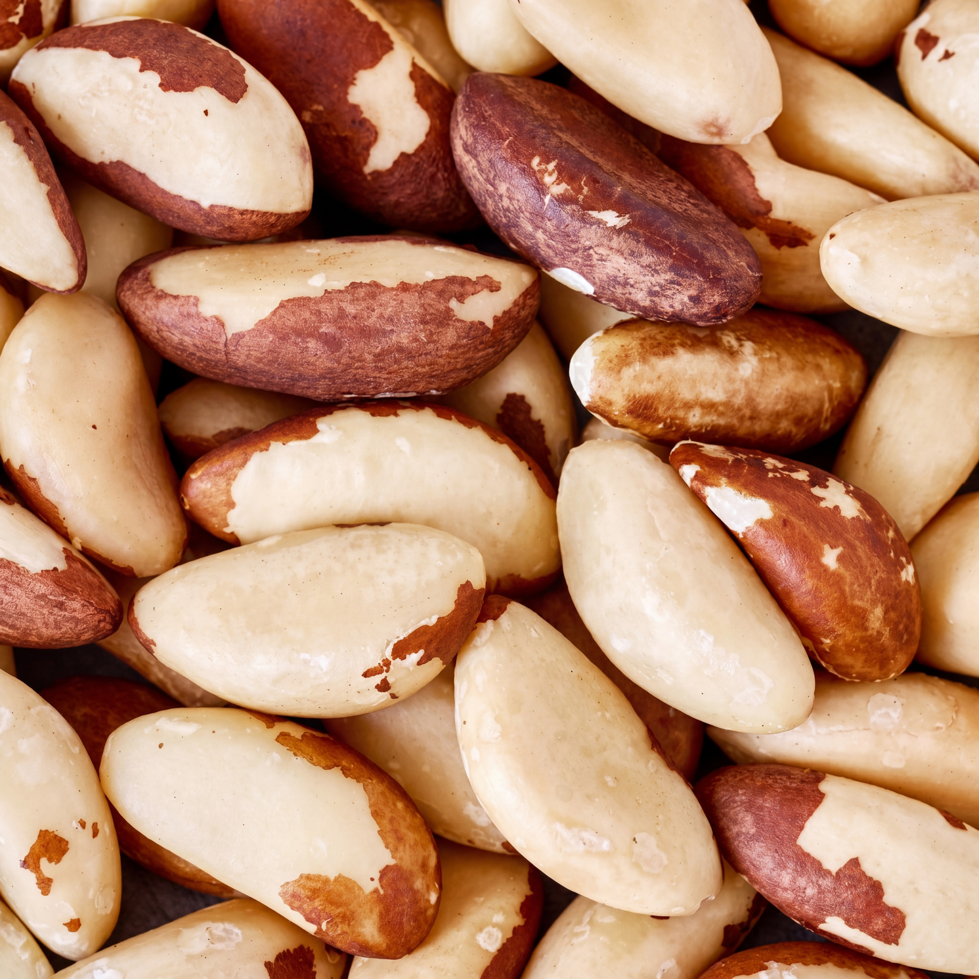 Nuez de Brasil natural 1kg | Coquitos