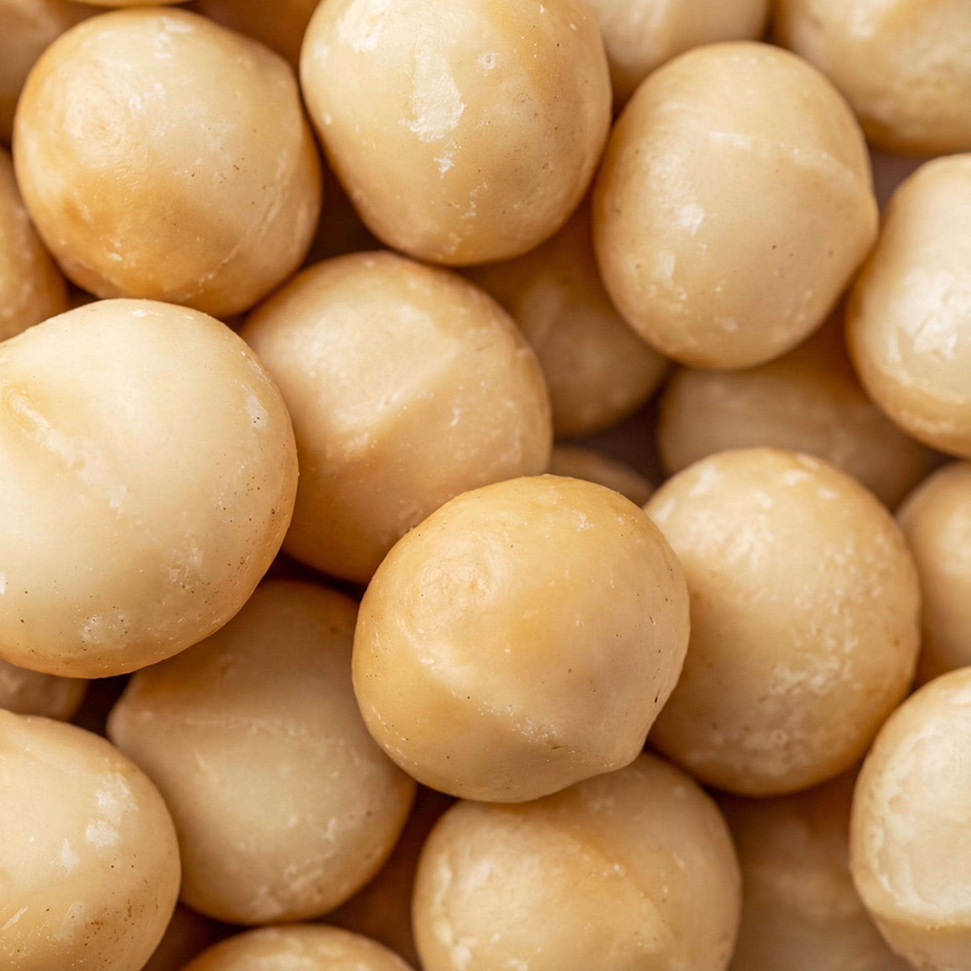 Nueces de macadamia 1kg