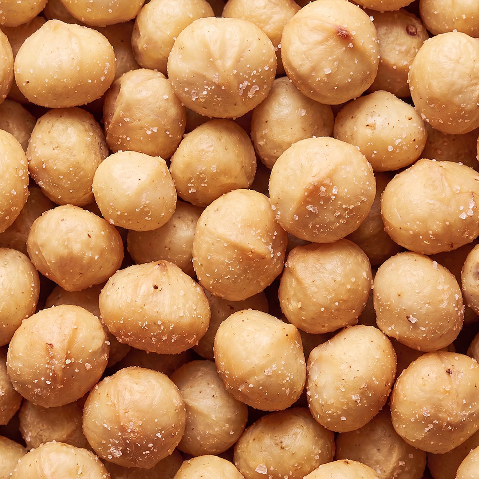 Nuez de macadamia tostada y salada 1kg