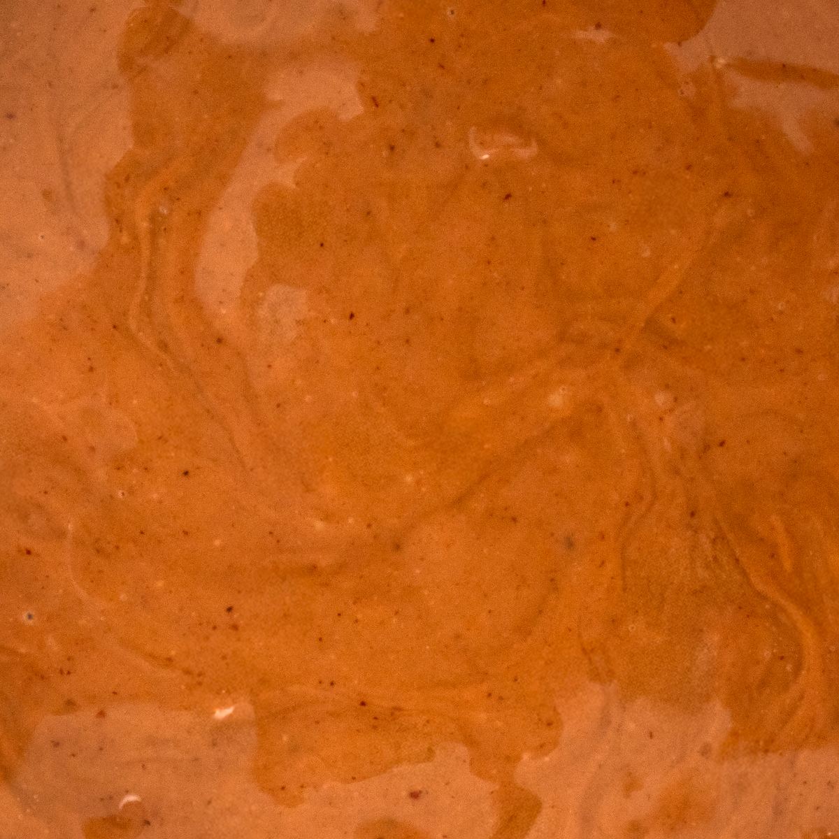 Crema de avellana 100% 300g